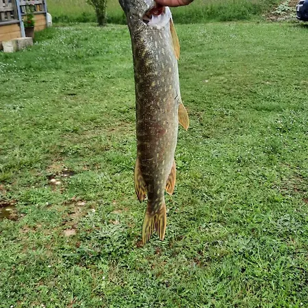 Etang Pre De La Font Campsite Cercles