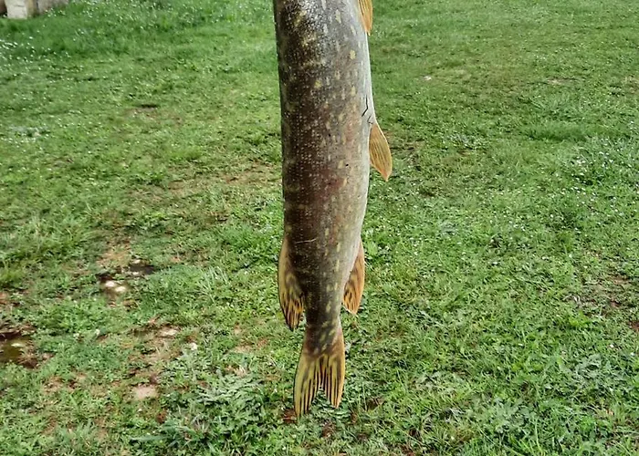 Etang Pre De La Font Campingplatz Cercles